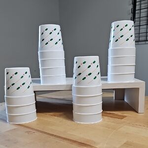 ♻️ Set of 15 Vintage Holiday Holly Stadium Cups | Reusable Plastic | Lawrence KS